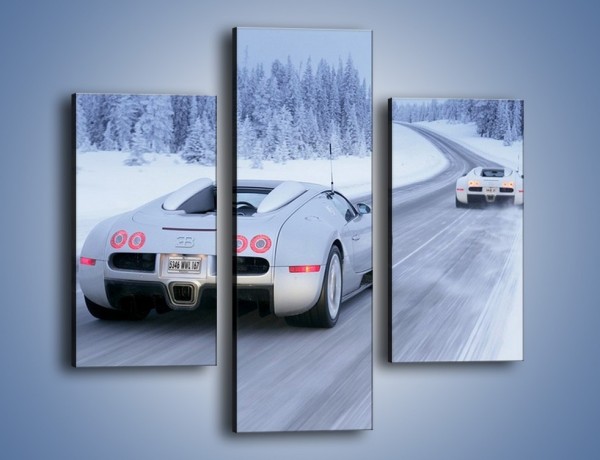 Obraz na płótnie – Bugatti Veyron w śniegu – trzyczęściowy TM134W3