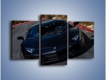 Obraz na płótnie – Lamborghini Aventador w kolorze matowym – trzyczęściowy TM163W3