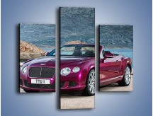 Obraz na płótnie – Bentley Continental Speed GT – trzyczęściowy TM187W3