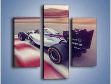 Obraz na płótnie – Formula 1 Williams Martini Racing – trzyczęściowy TM212W3