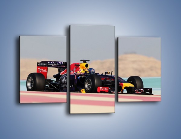 Obraz na płótnie – F1 Infiniti Red Bull – trzyczęściowy TM241W3