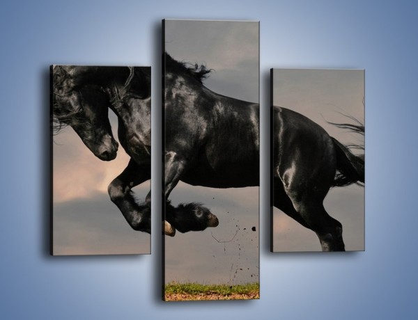 Obraz na płótnie – Niespokojny dziki koń – trzyczęściowy Z001W3