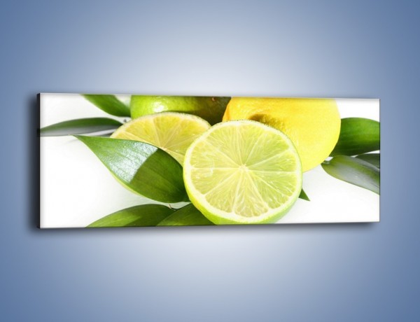 Obraz na płótnie – Mix cytrynowo-limonkowy – jednoczęściowy panoramiczny JN058
