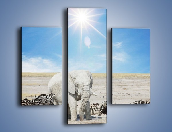 Obraz na płótnie – Słoń i jego przyjaciele – trzyczęściowy Z080W3