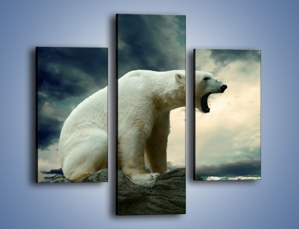 Obraz na płótnie – Donośny krzyk polarnego niedźwiedzia – trzyczęściowy Z114W3