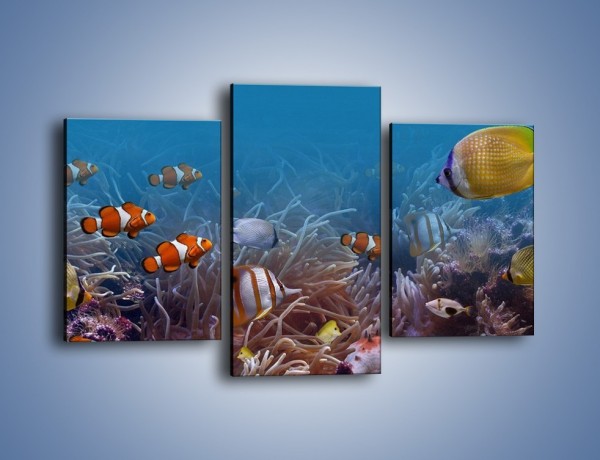 Obraz na płótnie – Ocean i jego kolorowi towarzysze – trzyczęściowy Z168W3