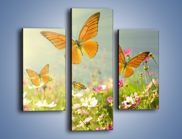 Obraz na płótnie – Z motylem wśród kwiatów – trzyczęściowy Z193W3