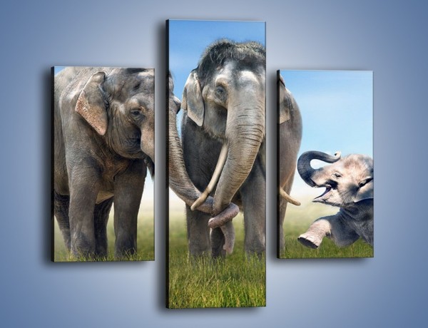 Obraz na płótnie – Przebij łapę ze słoniątkiem – trzyczęściowy Z208W3