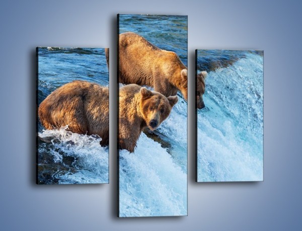 Obraz na płótnie – Niedźwiedzie na zjeżdżalni – trzyczęściowy Z213W3