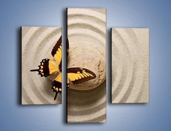 Obraz na płótnie – Samotność motyla – trzyczęściowy Z223W3