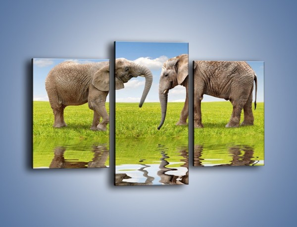 Obraz na płótnie – Poważne rozmowy słoni – trzyczęściowy Z228W3