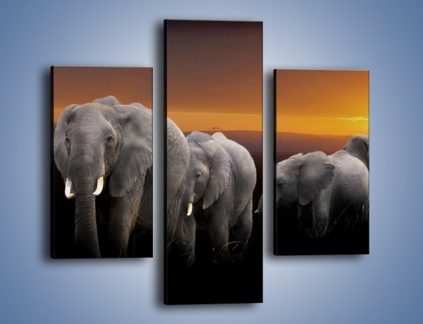 Obraz na płótnie – Powrót słoni do domu – trzyczęściowy Z229W3