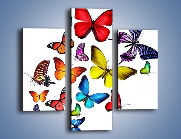 Obraz na płótnie – Kolorowo wśród motyli – trzyczęściowy Z236W3