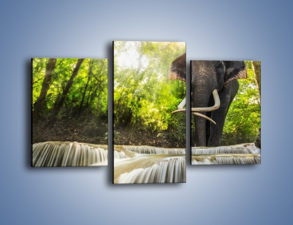 Obraz na płótnie – Słoń i mały wodospad – trzyczęściowy Z305W3