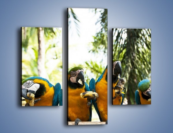 Obraz na płótnie – Piknik z papugami – trzyczęściowy Z322W3