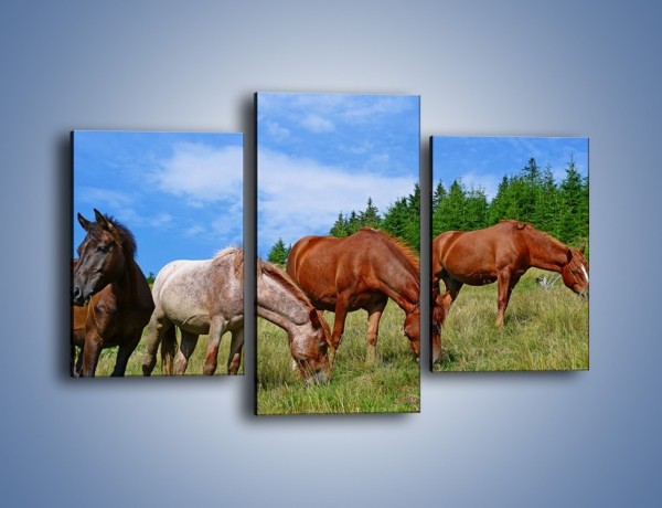Obraz na płótnie – Spokój las i konie – trzyczęściowy Z330W3