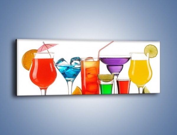 Obraz na płótnie – Wakacyjne party z alkoholem – jednoczęściowy panoramiczny JN092