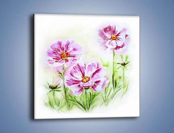 Obraz na płótnie – Małe kwiatki na trawce – jednoczęściowy kwadratowy GR559