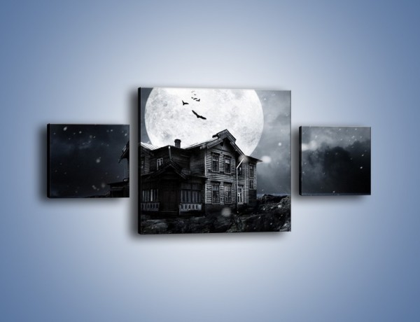 Obraz na płótnie – Nietoperze i pełnia księżyca – trzyczęściowy GR012W4