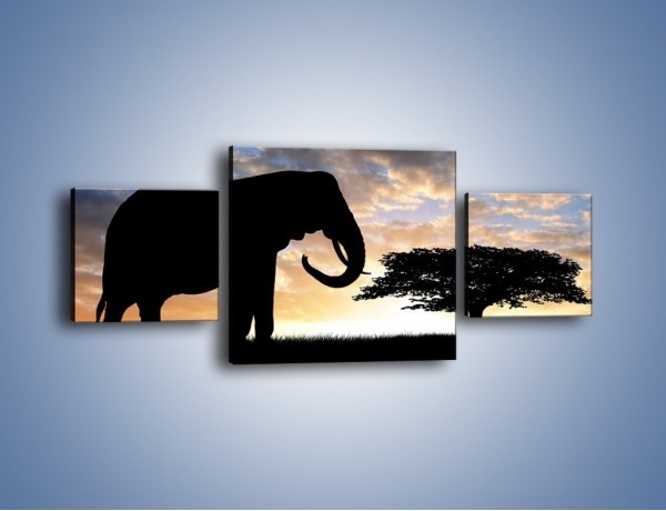 Obraz na płótnie – Samotność wśród słoni – trzyczęściowy GR317W4