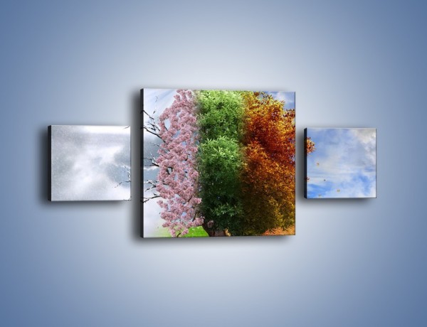 Obraz na płótnie – Cztery pory roku – trzyczęściowy GR333W4