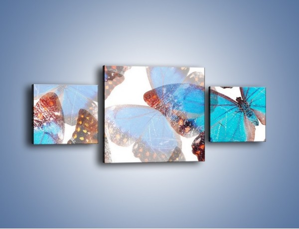 Obraz na płótnie – Motyl w niebieskim kolorze – trzyczęściowy GR403W4