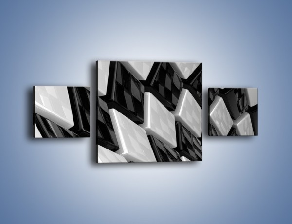 Obraz na płótnie – Czarne czy białe – trzyczęściowy GR425W4