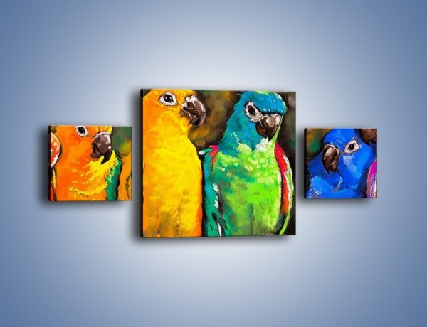 Obraz na płótnie – Rozmowa papuzich przyjaciół – trzyczęściowy GR492W4