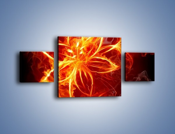 Obraz na płótnie – Spłonąć jak kwiat – trzyczęściowy GR527W4
