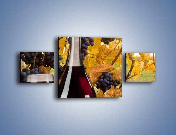 Obraz na płótnie – Wino wśród winogron – trzyczęściowy JN007W4