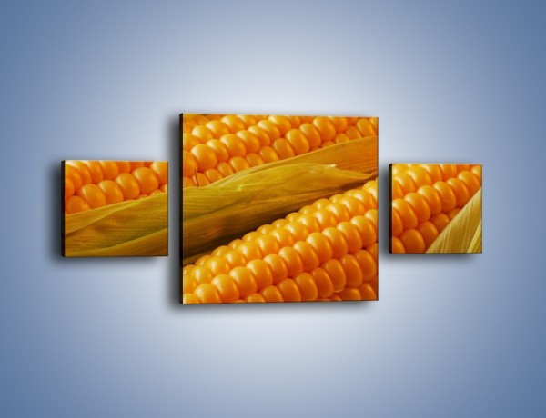 Obraz na płótnie – Kolby dojrzałych kukurydz – trzyczęściowy JN046W4