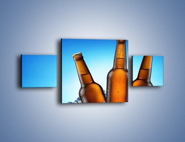 Obraz na płótnie – Szron na butelkach piwa – trzyczęściowy JN075W4