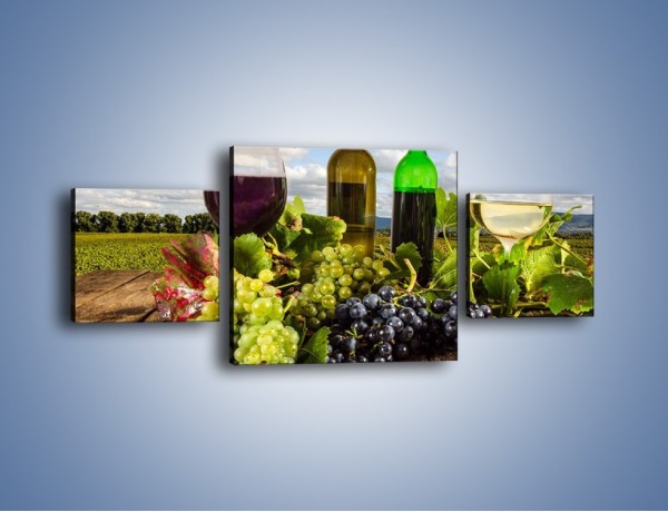 Obraz na płótnie – Wino w jesiennych klimatach – trzyczęściowy JN415W4
