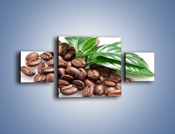 Obraz na płótnie – Kawa wśród zieleni – trzyczęściowy JN418W4