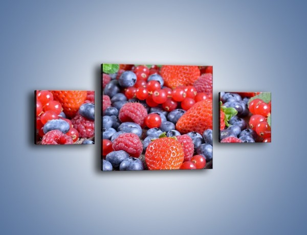 Obraz na płótnie – Owoce z działki – trzyczęściowy JN422W4