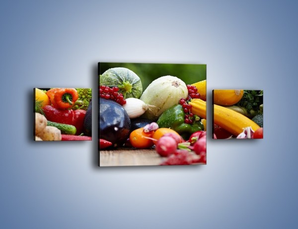 Obraz na płótnie – Warzywa na ogrodowym stole – trzyczęściowy JN483W4