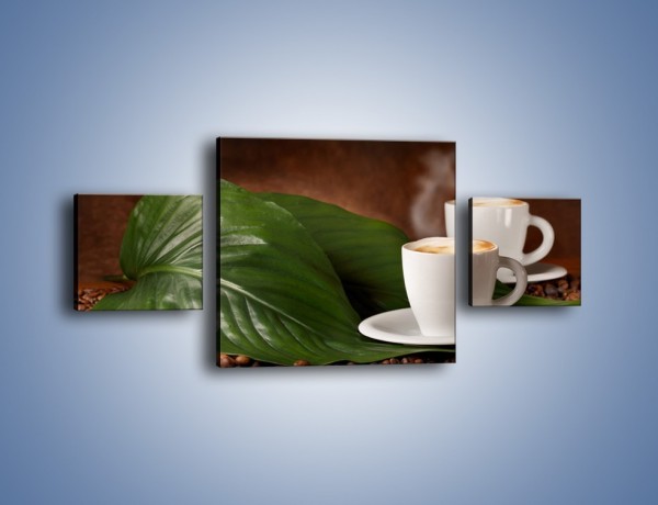 Obraz na płótnie – Kawa na eukaliptusie – trzyczęściowy JN576W4