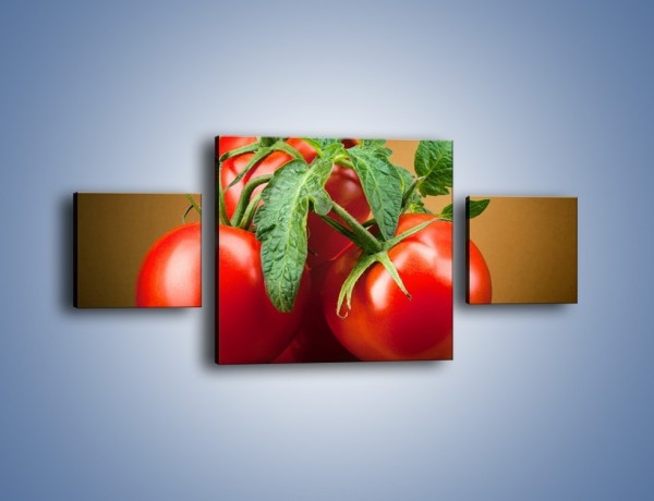 Obraz na płótnie – Pomidorki górą – trzyczęściowy JN581W4