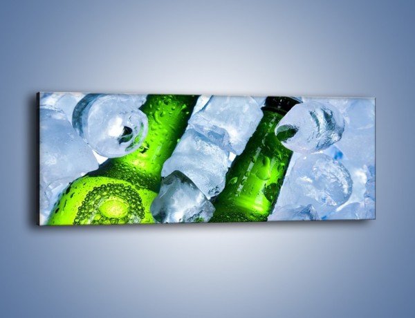 Obraz na płótnie – Czas na zimne piwko – jednoczęściowy panoramiczny JN148