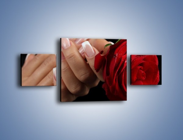 Obraz na płótnie – Kwiat róży w kobiecych dłoniach – trzyczęściowy K006W4