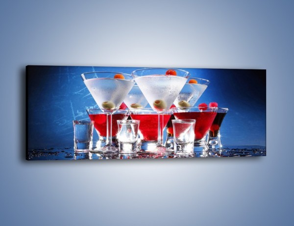 Obraz na płótnie – Martini wstrząśnięte zmieszane – jednoczęściowy panoramiczny JN161