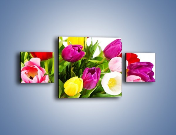 Obraz na płótnie – Kolorowe tulipany w pęku – trzyczęściowy K023W4