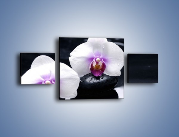 Obraz na płótnie – Główki białych storczyków – trzyczęściowy K024W4