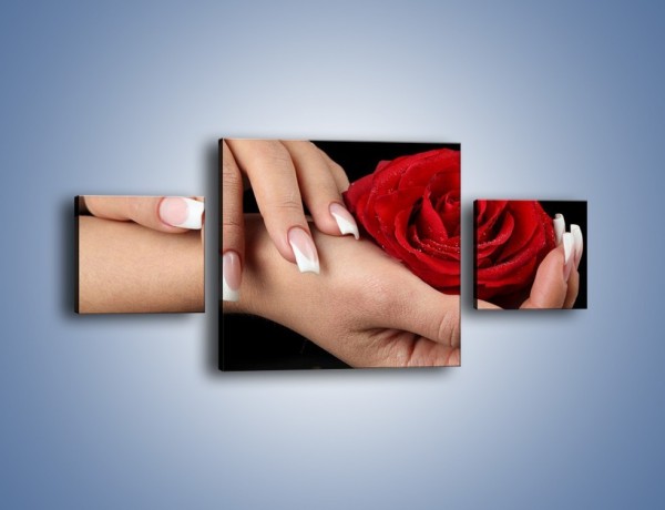 Obraz na płótnie – Czerwona róża w dłoni – trzyczęściowy K037W4