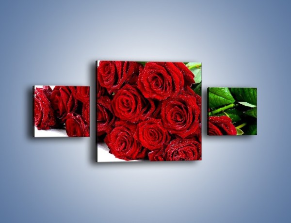 Obraz na płótnie – Oszronione czerwone róże – trzyczęściowy K047W4