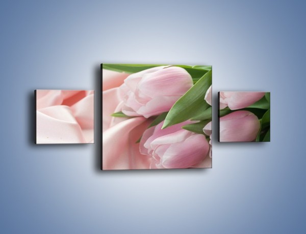 Obraz na płótnie – Odpoczynek tulipanów na atłasie – trzyczęściowy K050W4