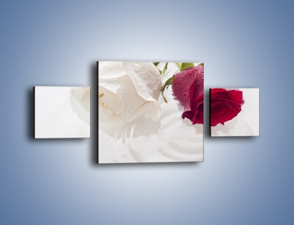 Obraz na płótnie – Róża biała czy czerwona – trzyczęściowy K077W4
