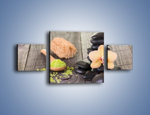 Obraz na płótnie – Szczypta relaksu i bajkowy storczyk – trzyczęściowy K1005W4