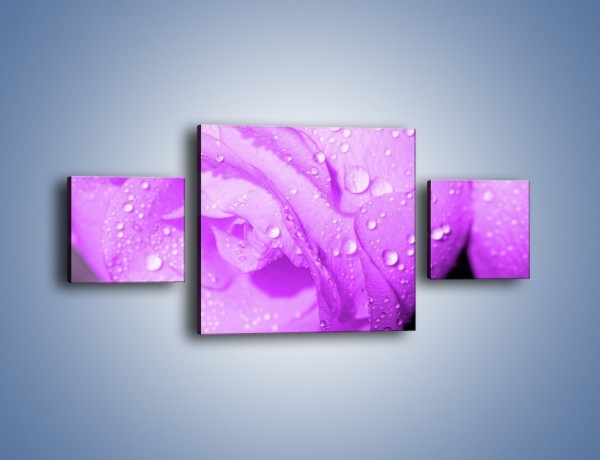 Obraz na płótnie – Jasno fioletowe skropione płatki – trzyczęściowy K1020W4
