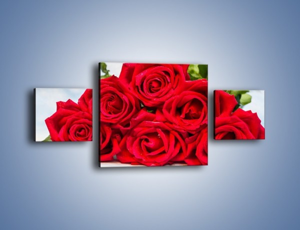 Obraz na płótnie – Czerwone róże bez kolców – trzyczęściowy K1021W4